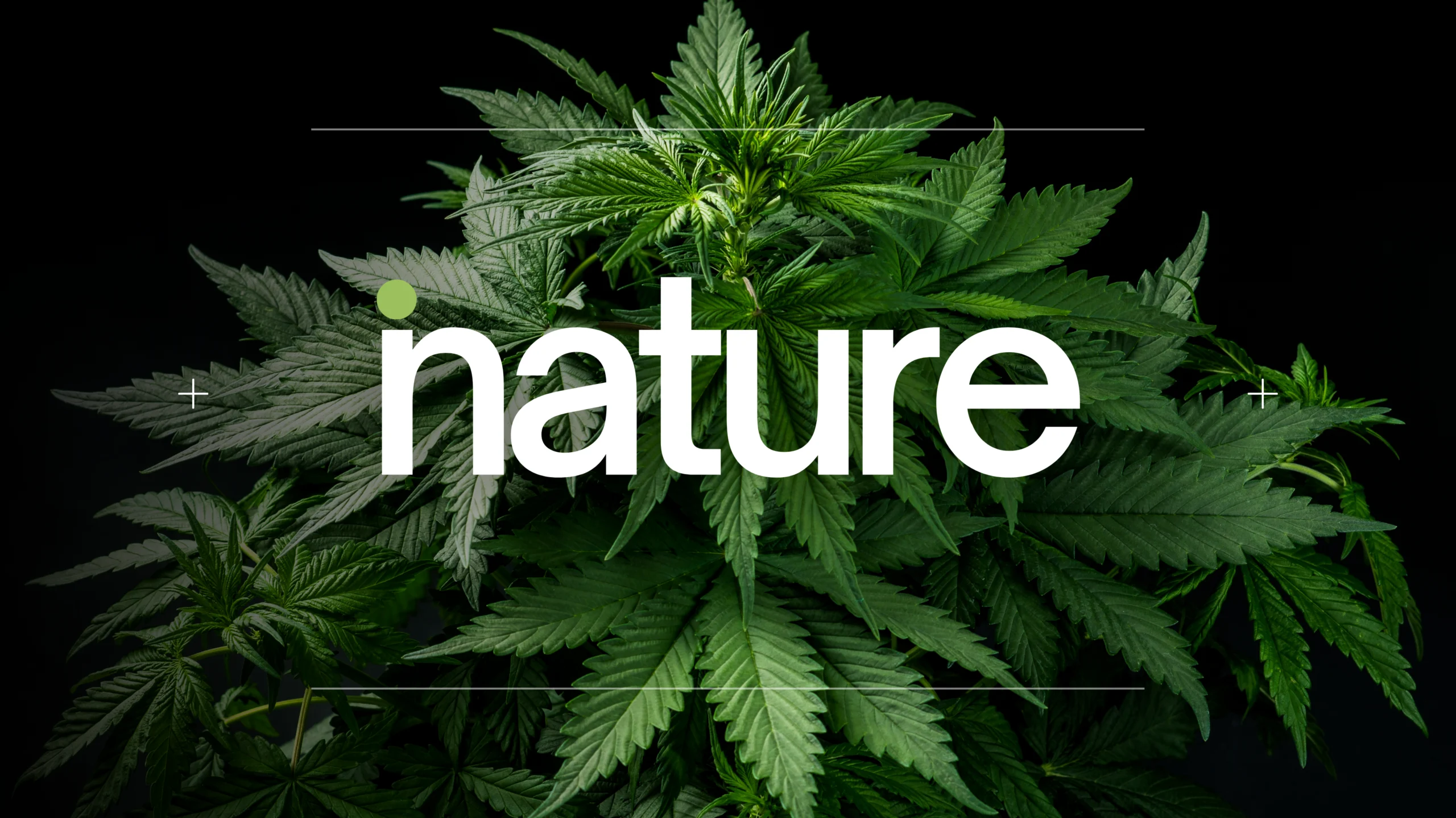 inature hero andrearty