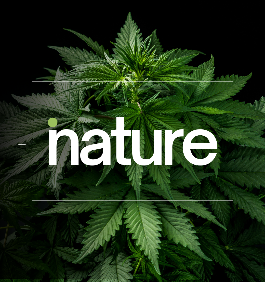 slide inature mobile